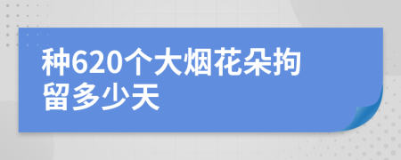 种620个大烟花朵拘留多少天