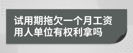 试用期拖欠一个月工资用人单位有权利拿吗