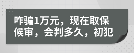 咋骗1万元，现在取保候审，会判多久，初犯