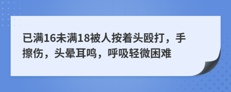 已满16未满18被人按着头殴打，手擦伤，头晕耳鸣，呼吸轻微困难