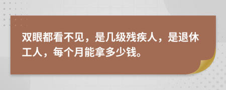 双眼都看不见，是几级残疾人，是退休工人，每个月能拿多少钱。