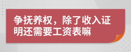 争抚养权，除了收入证明还需要工资表嘛