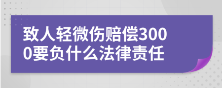 致人轻微伤赔偿3000要负什么法律责任