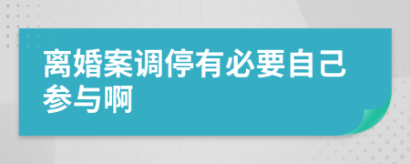 离婚案调停有必要自己参与啊