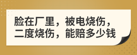 脸在厂里，被电烧伤，二度烧伤，能赔多少钱