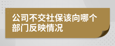 公司不交社保该向哪个部门反映情况