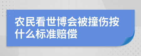 农民看世博会被撞伤按什么标准赔偿