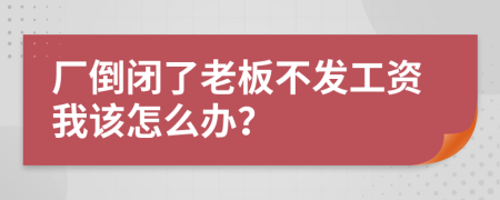 厂倒闭了老板不发工资我该怎么办？