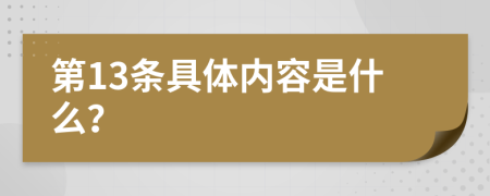 第13条具体内容是什么？