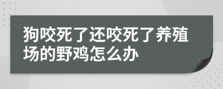 狗咬死了还咬死了养殖场的野鸡怎么办