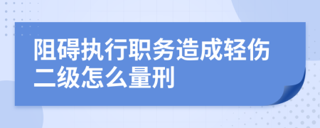 阻碍执行职务造成轻伤二级怎么量刑