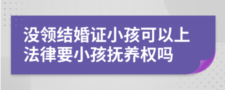 没领结婚证小孩可以上法律要小孩抚养权吗