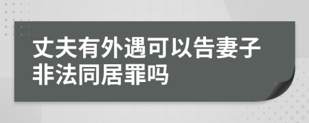 丈夫有外遇可以告妻子非法同居罪吗