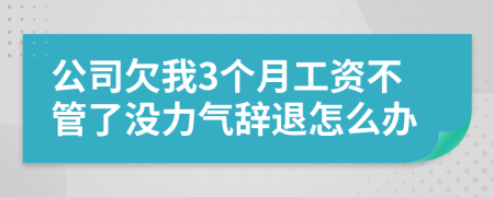 公司欠我3个月工资不管了没力气辞退怎么办