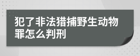 犯了非法猎捕野生动物罪怎么判刑