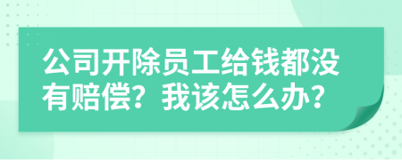 公司开除员工给钱都没有赔偿？我该怎么办？