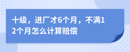 十级，进厂才6个月，不满12个月怎么计算赔偿