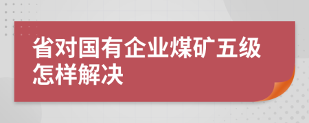 省对国有企业煤矿五级怎样解决