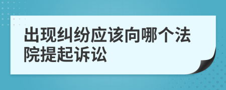 出现纠纷应该向哪个法院提起诉讼