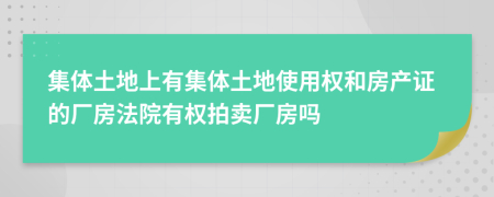 集体土地上有集体土地使用权和房产证的厂房法院有权拍卖厂房吗