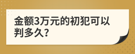 金额3万元的初犯可以判多久？