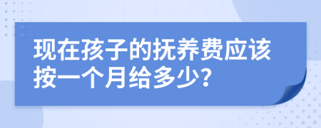 现在孩子的抚养费应该按一个月给多少？