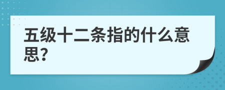 五级十二条指的什么意思？