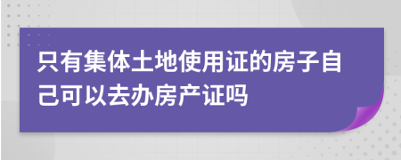 只有集体土地使用证的房子自己可以去办房产证吗