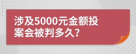 涉及5000元金额投案会被判多久？