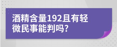 酒精含量192且有轻微民事能判吗?