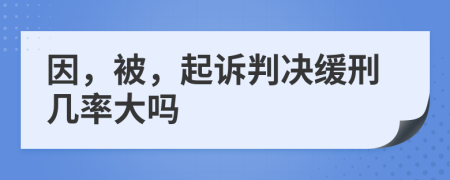 因，被，起诉判决缓刑几率大吗