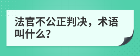 法官不公正判决，术语叫什么？