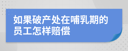 如果破产处在哺乳期的员工怎样赔偿