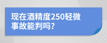 现在酒精度250轻微事故能判吗？