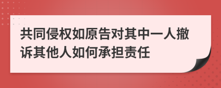 共同侵权如原告对其中一人撤诉其他人如何承担责任