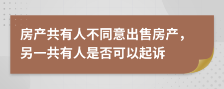 房产共有人不同意出售房产，另一共有人是否可以起诉