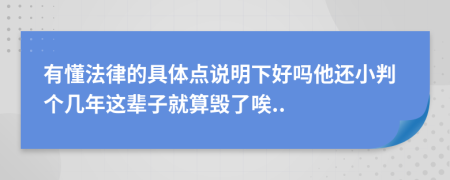 有懂法律的具体点说明下好吗他还小判个几年这辈子就算毁了唉..