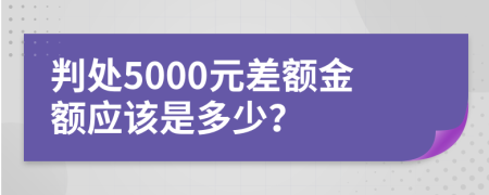 判处5000元差额金额应该是多少？