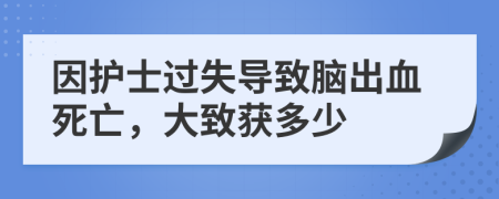 因护士过失导致脑出血死亡，大致获多少