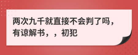 两次九千就直接不会判了吗，有谅解书，，初犯