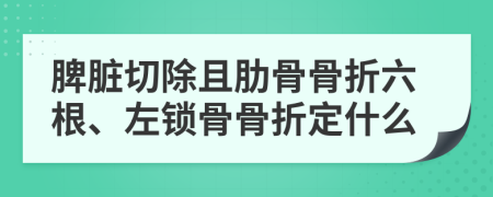 脾脏切除且肋骨骨折六根、左锁骨骨折定什么