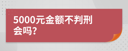 5000元金额不判刑会吗？