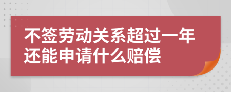 不签劳动关系超过一年还能申请什么赔偿