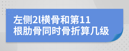 左侧2l横骨和第11根肋骨同时骨折算几级