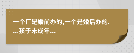 一个厂是婚前办的,一个是婚后办的....孩子未成年...