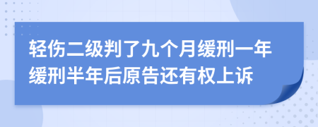 轻伤二级判了九个月缓刑一年缓刑半年后原告还有权上诉