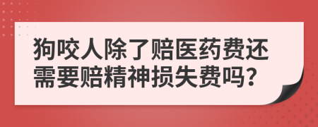 狗咬人除了赔医药费还需要赔精神损失费吗？