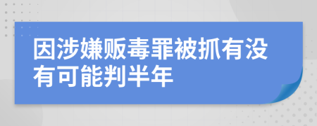 因涉嫌贩毒罪被抓有没有可能判半年