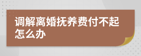 调解离婚抚养费付不起怎么办