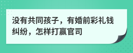 没有共同孩子，有婚前彩礼钱纠纷，怎样打赢官司